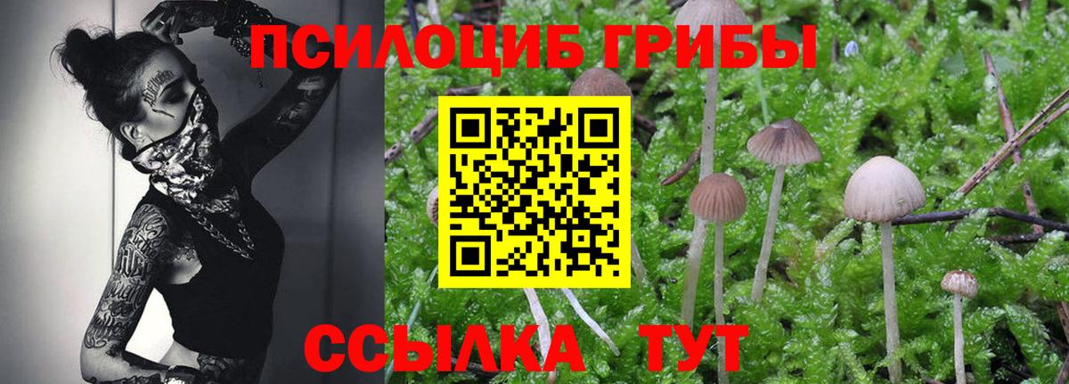 Фурманов  Псилоцибиновые грибы Psilocybine cubensis  где купить наркоту  Вход с VPN 